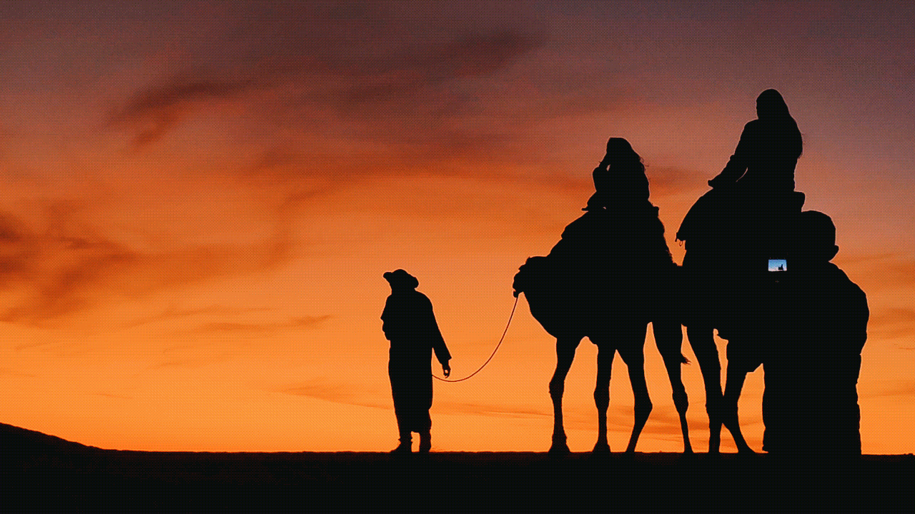 Sahara dunes at sunset